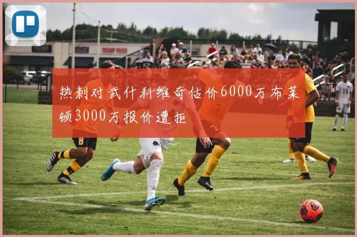 热刺对武什科维奇估价6000万布莱顿3000万报价遭拒